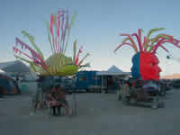 Fighting fish
