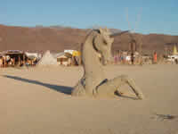 Stallion climbing out of the playa