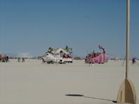 Cat-eat-car on the playa