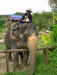 Phuket, Thailand