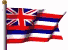 Hawaii State Flag