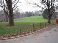 Central Park