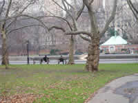 Central Park