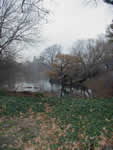 Central Park