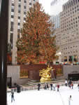 New York photos