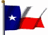 State Flag