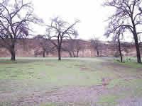 Rancho Tehama